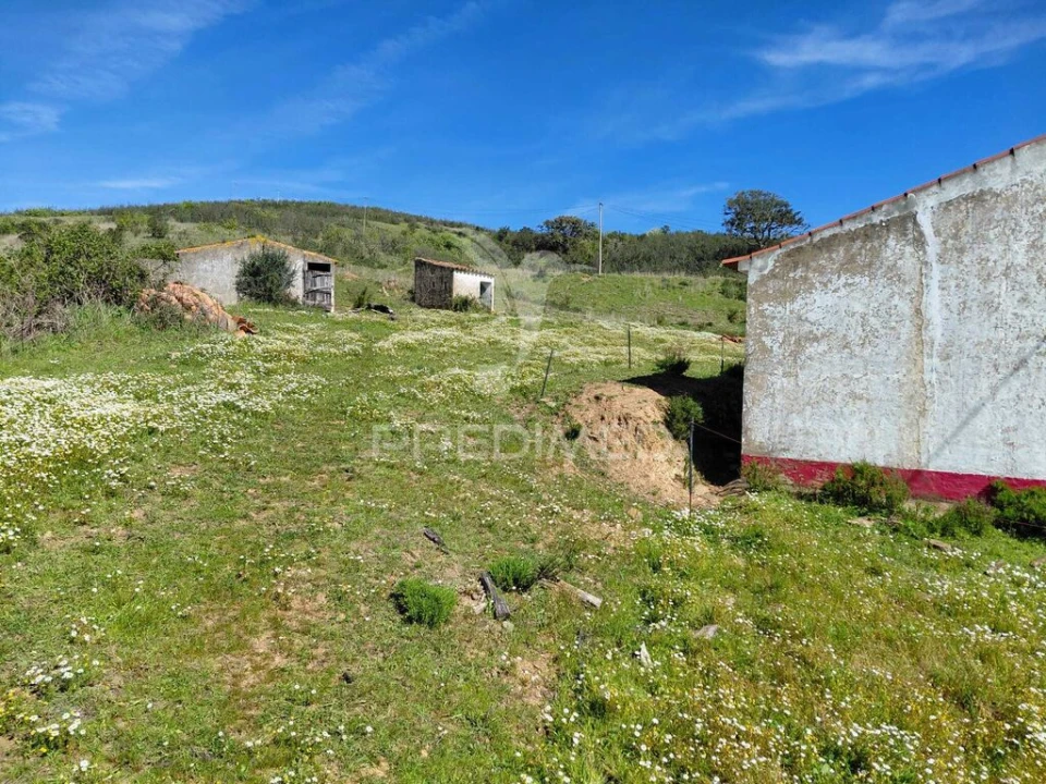 Quinta T3 para Venda em Saboia Foto 10