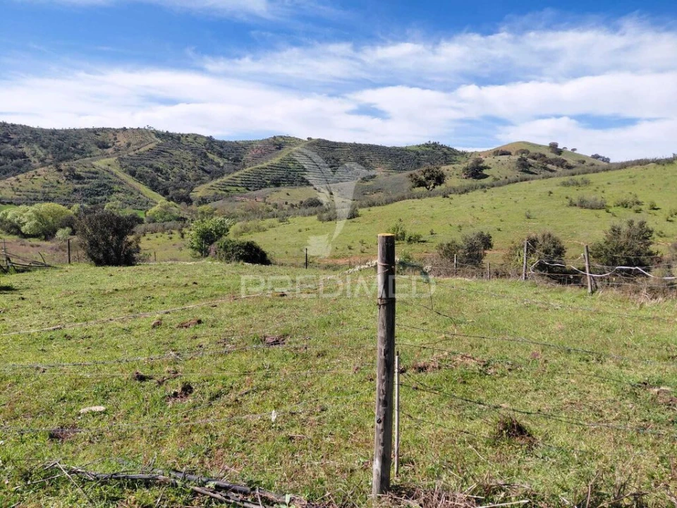 Quinta T3 para Venda em Saboia Foto 19