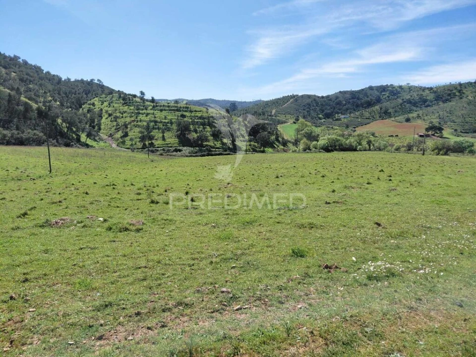 Quinta T3 para Venda em Saboia Foto 8