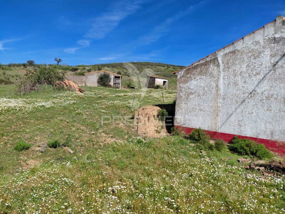 Quinta T3 para Venda em Saboia Foto 17