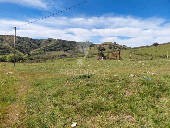 Quinta T3 para Venda em Saboia Foto 13