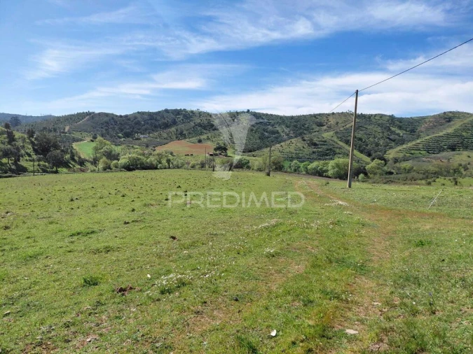 Quinta T3 para Venda em Saboia Foto 16