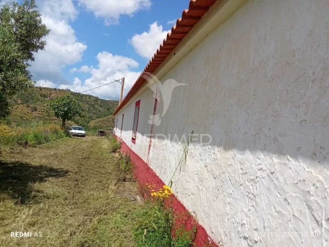 Quinta T3 para Venda em Saboia Foto 3