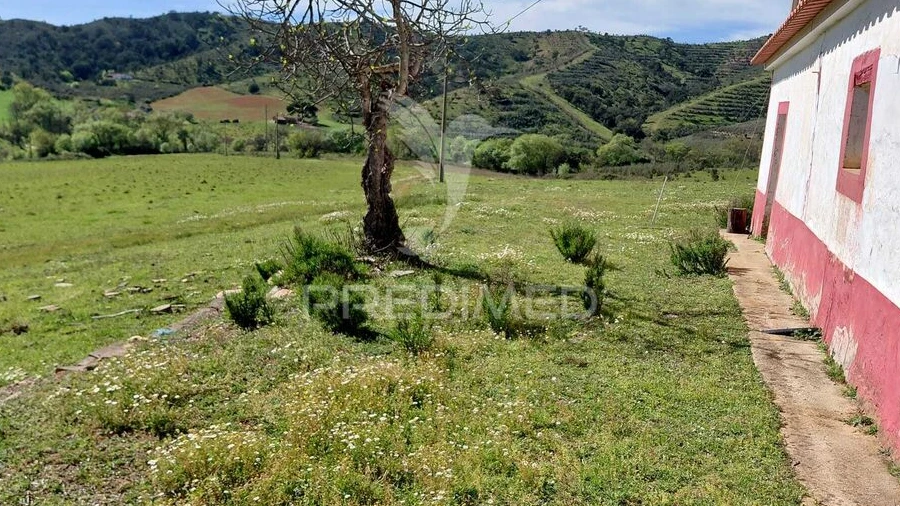 Quinta para Venda em Saboia