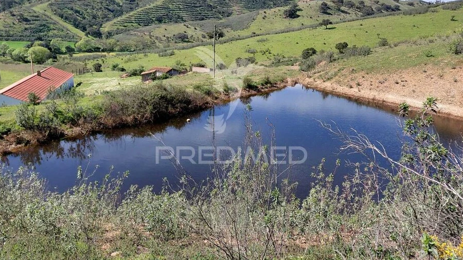 Quinta para Venda em Saboia
