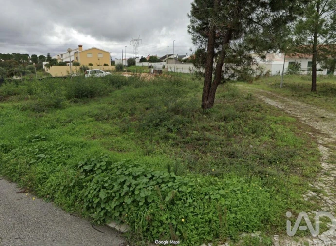 Terreno para Venda em São Miguel do Rio Torto e Rossio Ao Sul do Tejo Foto 3