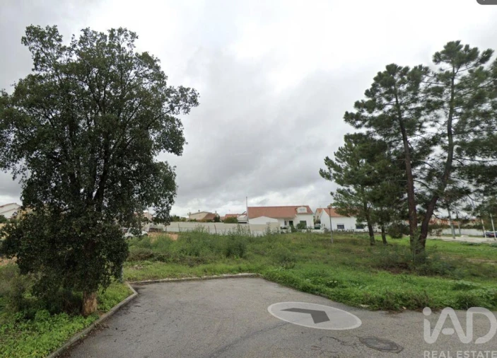 Terreno para Venda em São Miguel do Rio Torto e Rossio Ao Sul do Tejo Foto 5
