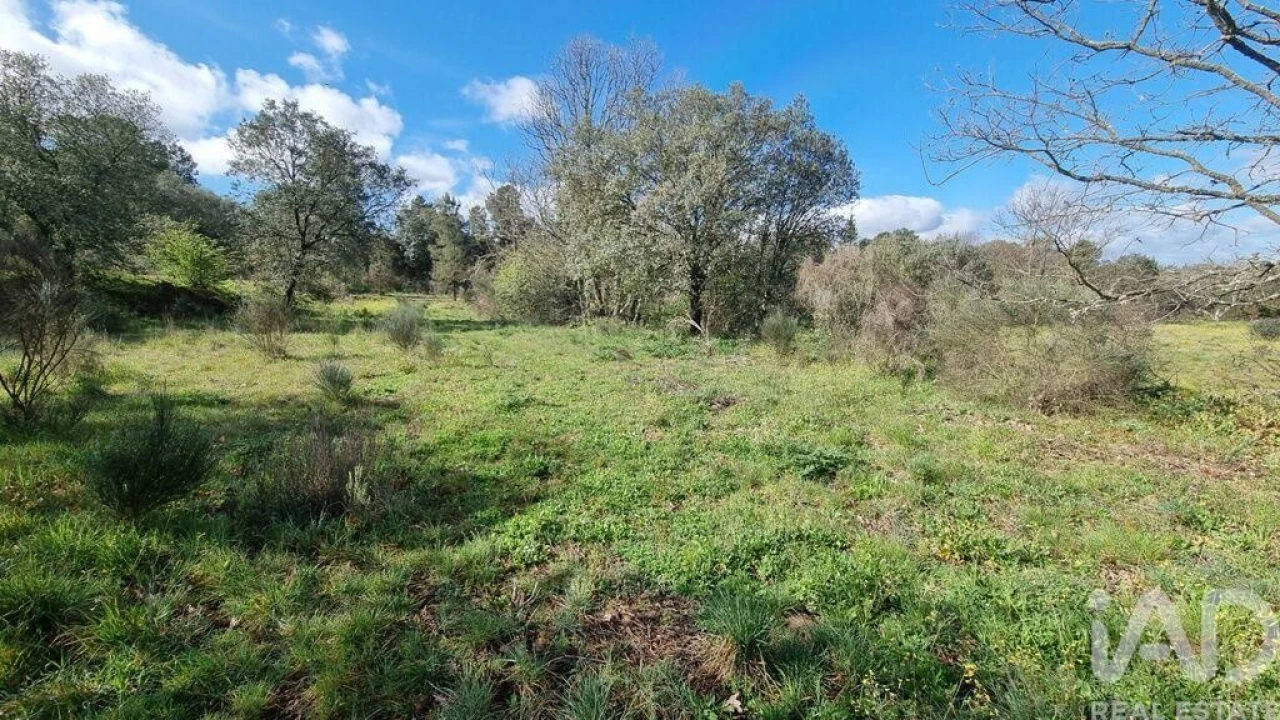 Quinta para Venda em Açores e Velosa Foto 34