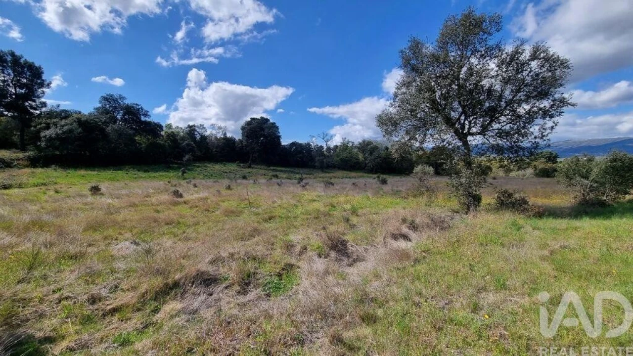 Quinta para Venda em Açores e Velosa Foto 17