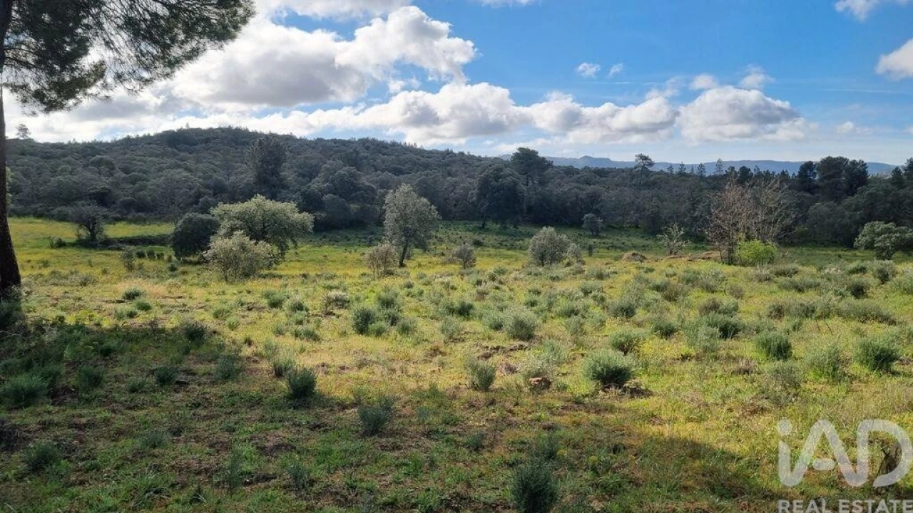 Quinta para Venda em Açores e Velosa Foto 27