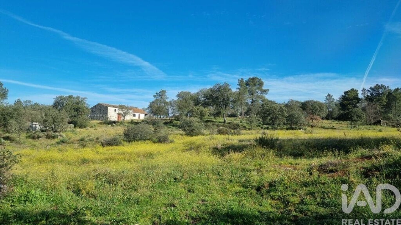 Quinta para Venda em Açores e Velosa Foto 5