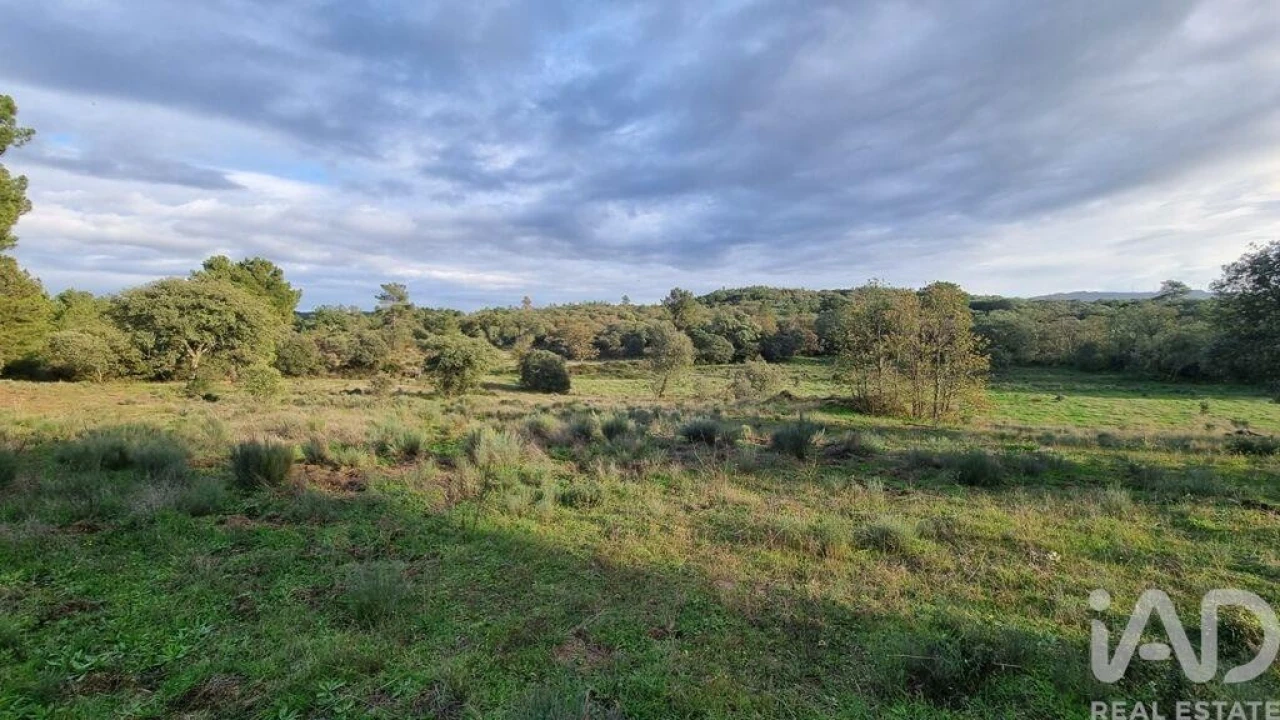 Quinta para Venda em Açores e Velosa Foto 30