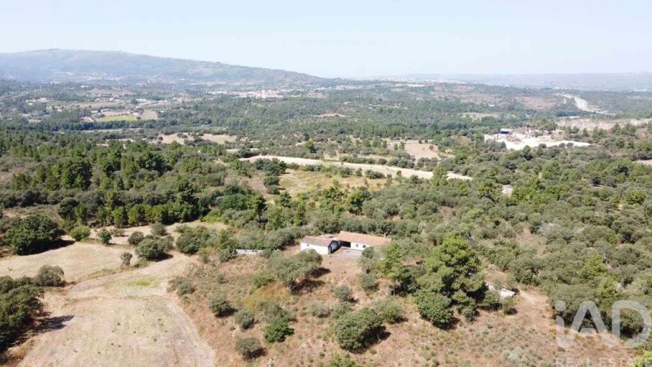 Quinta para Venda em Açores e Velosa Foto 20