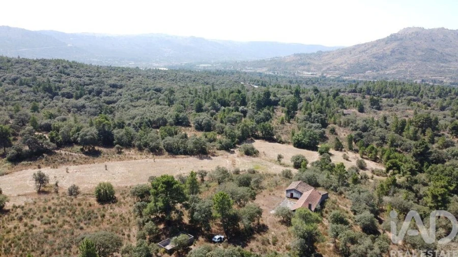Quinta para Venda em Açores e Velosa Foto 23