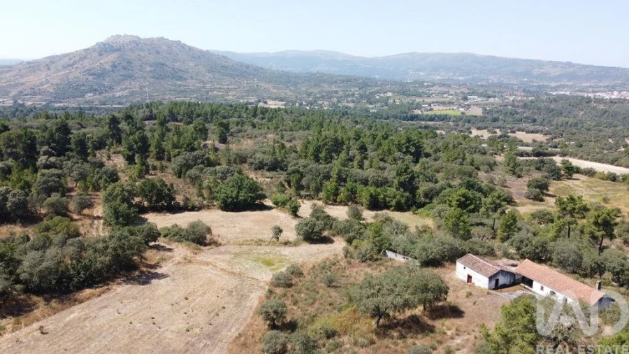 Quinta para Venda em Açores e Velosa Foto 18