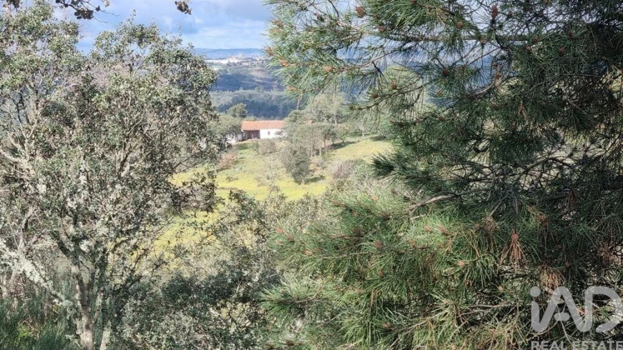 Quinta para Venda em Açores e Velosa Foto 28