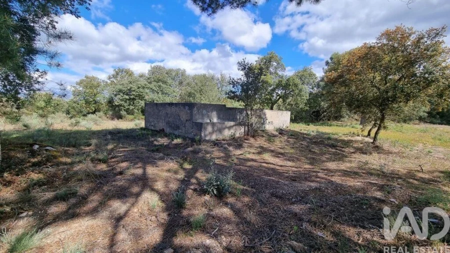 Quinta para Venda em Açores e Velosa Foto 16