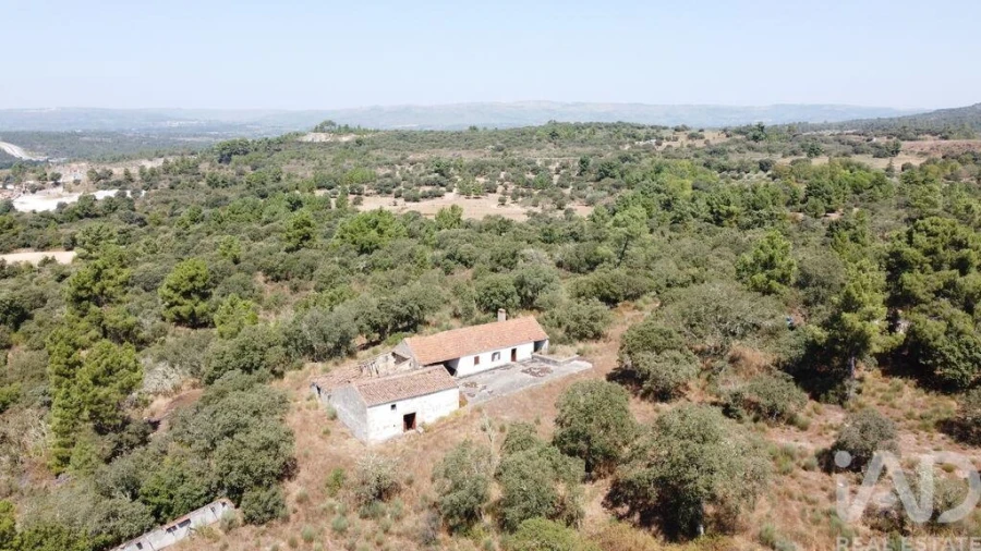 Quinta para Venda em Açores e Velosa Foto 4