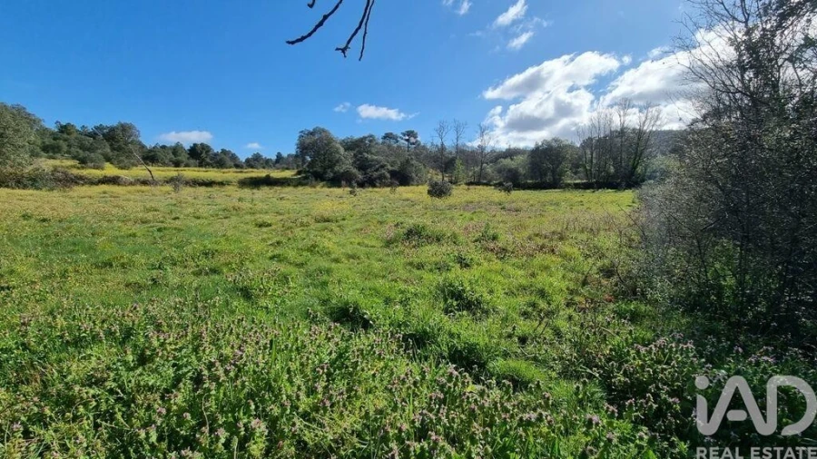 Quinta para Venda em Açores e Velosa Foto 26