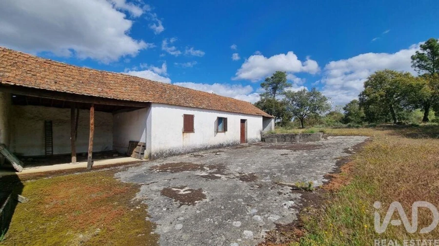 Quinta para Venda em Açores e Velosa Foto 7