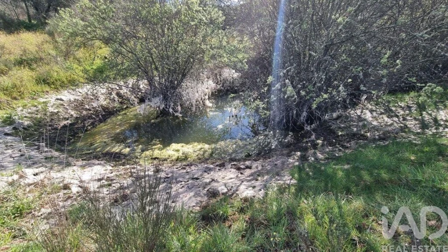 Quinta para Venda em Açores e Velosa Foto 33