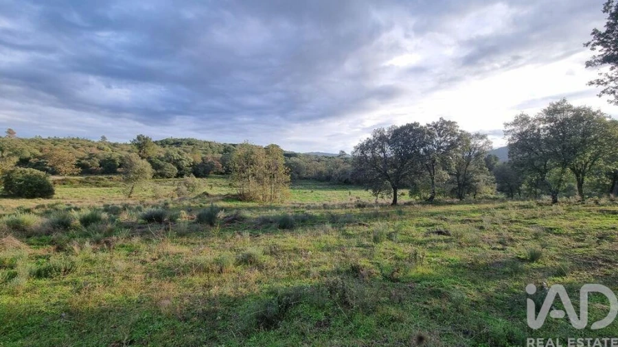 Quinta para Venda em Açores e Velosa Foto 29