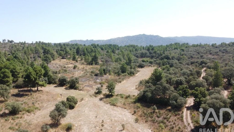 Quinta para Venda em Açores e Velosa Foto 19