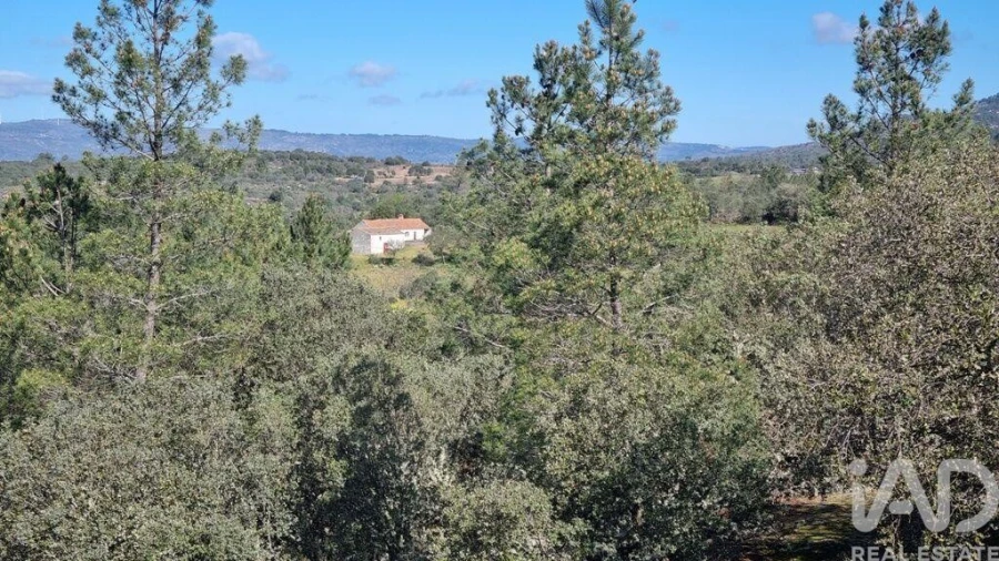 Quinta para Venda em Açores e Velosa Foto 21