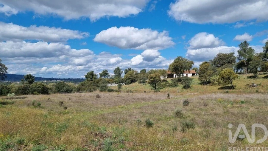 Quinta para Venda em Açores e Velosa Foto 32
