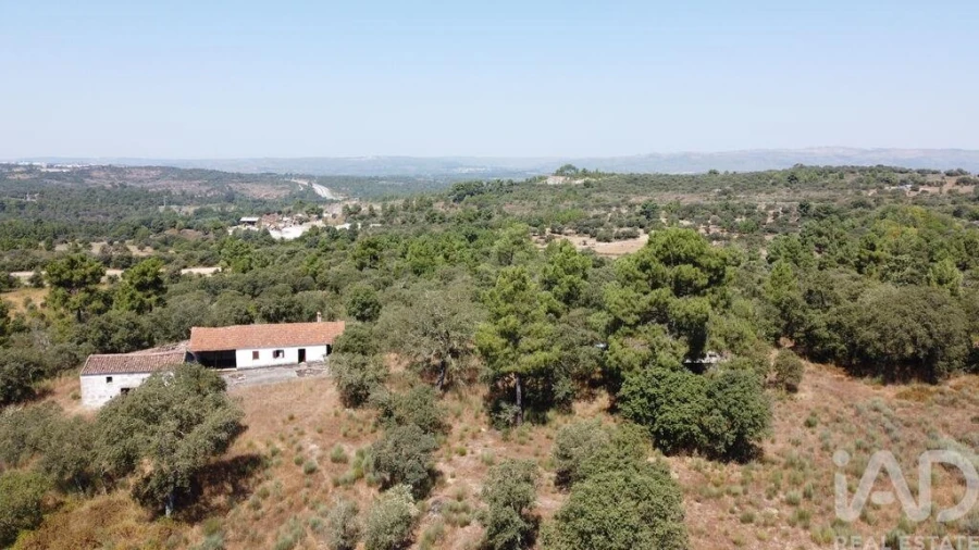 Quinta para Venda em Açores e Velosa Foto 24