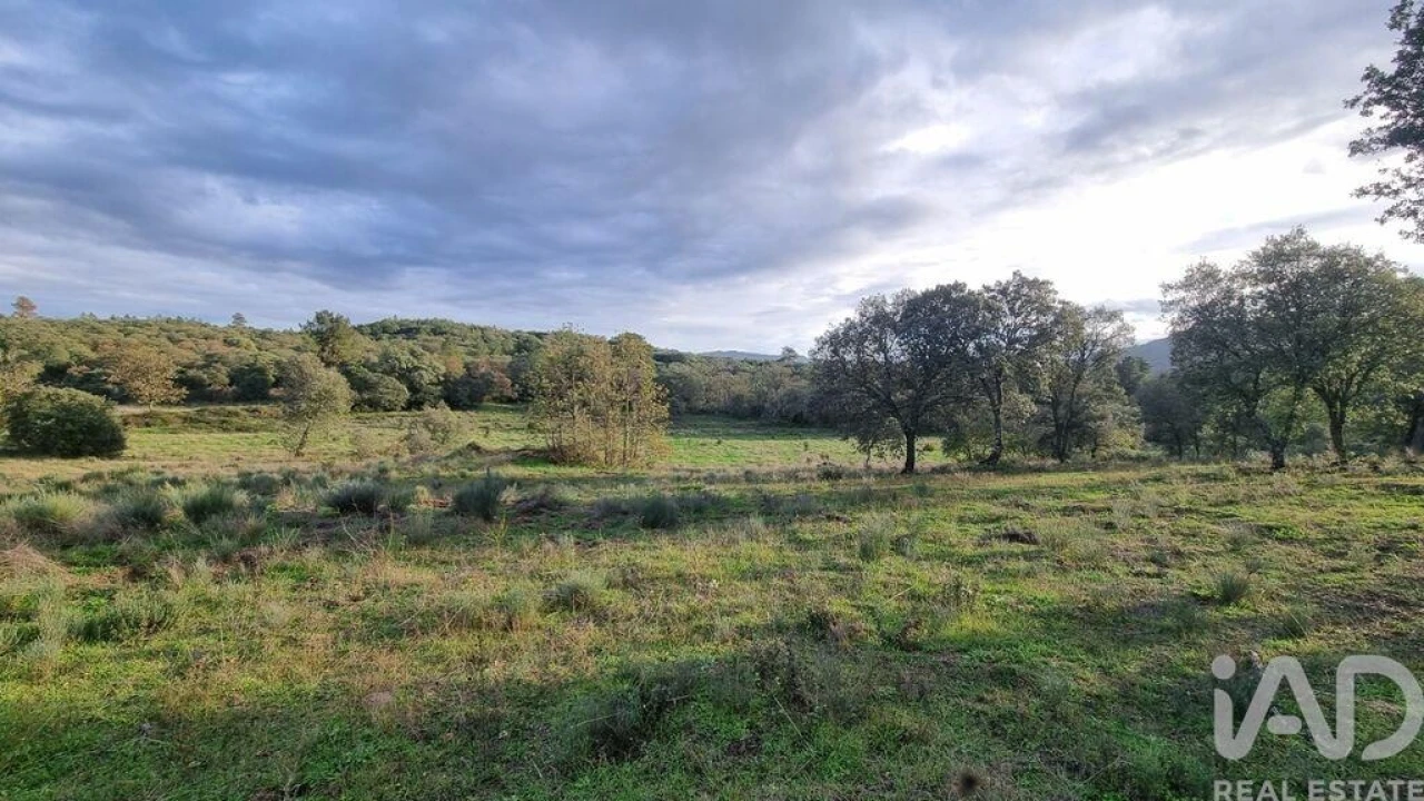 Quinta para Venda em Açores e Velosa Foto 29