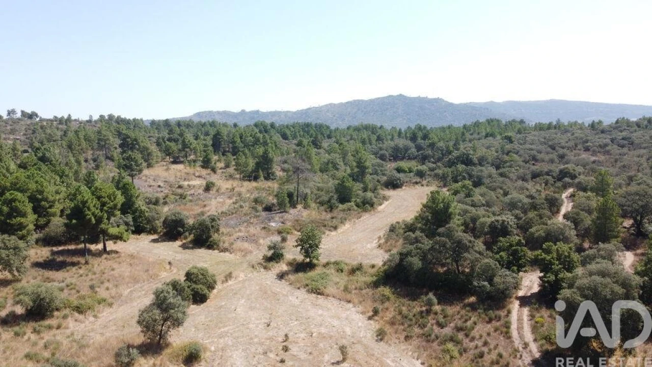 Quinta para Venda em Açores e Velosa Foto 19