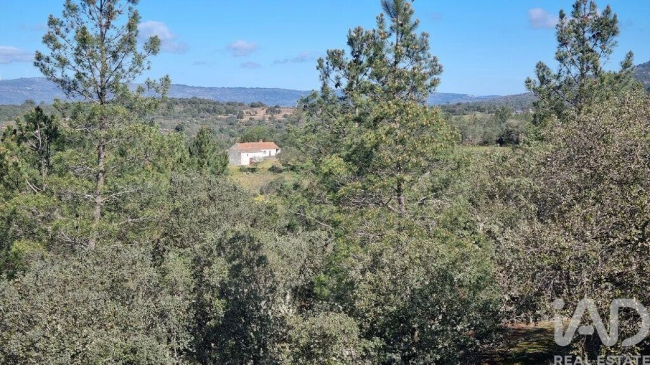 Quinta para Venda em Açores e Velosa Foto 21