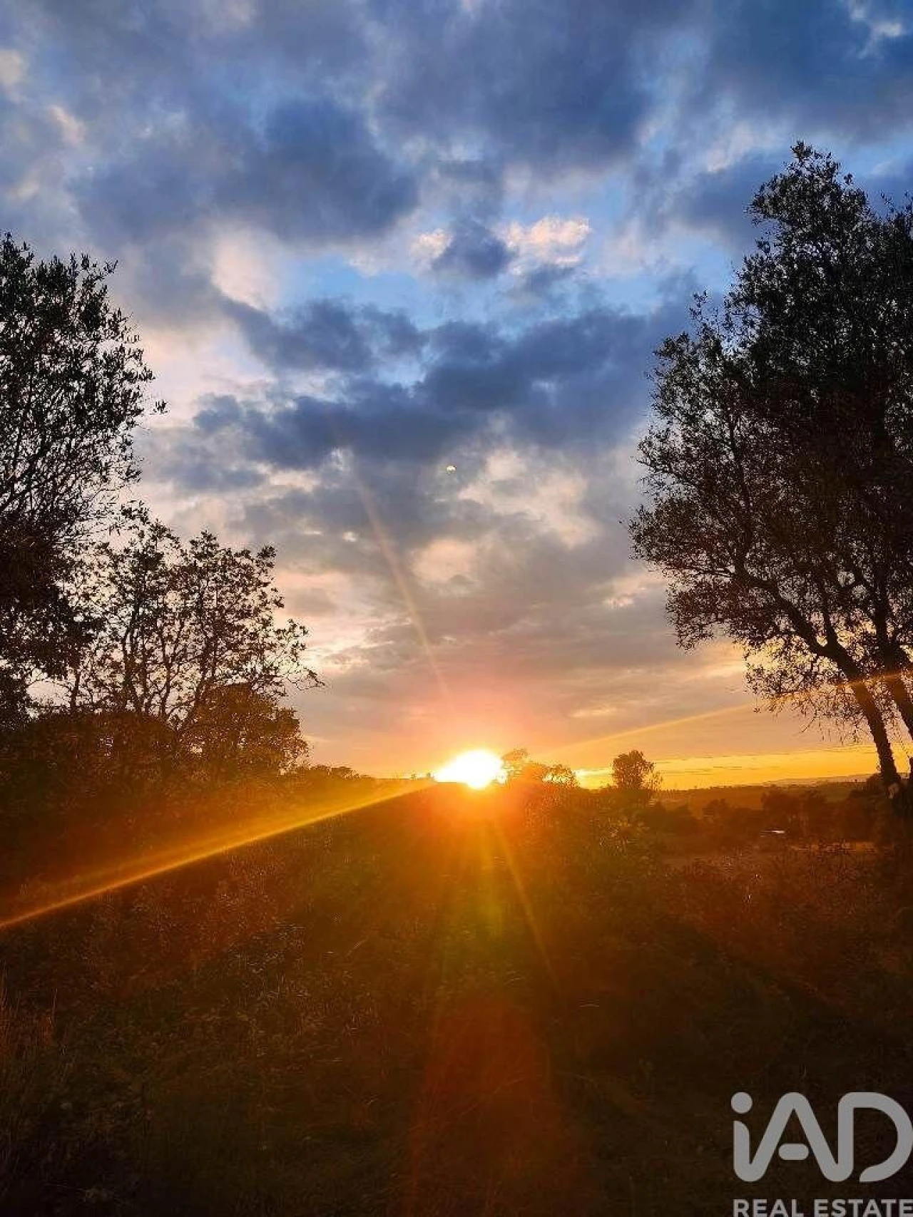 Quinta para Venda em Açores e Velosa Foto 3