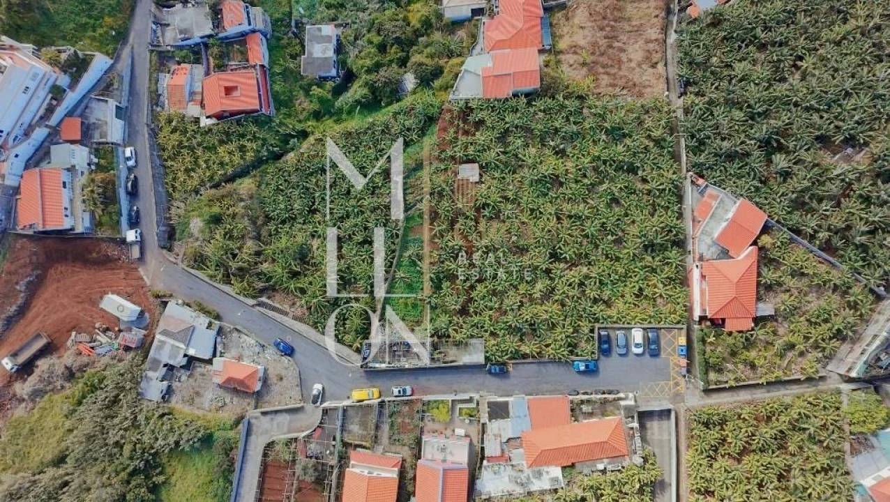 Terreno para Venda em São Martinho Foto 11