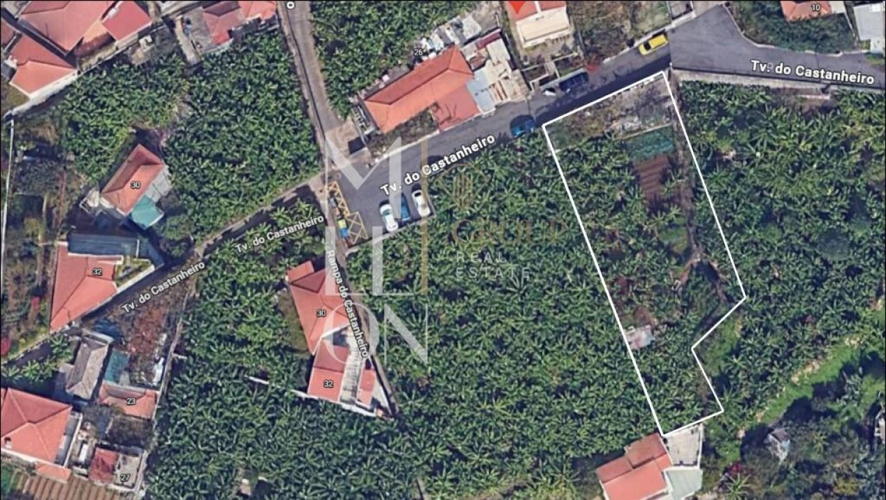 Terreno para Venda em São Martinho Foto 1