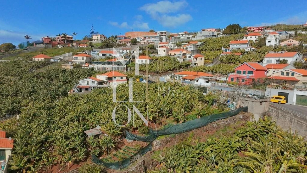 Terreno para Venda em São Martinho Foto 3