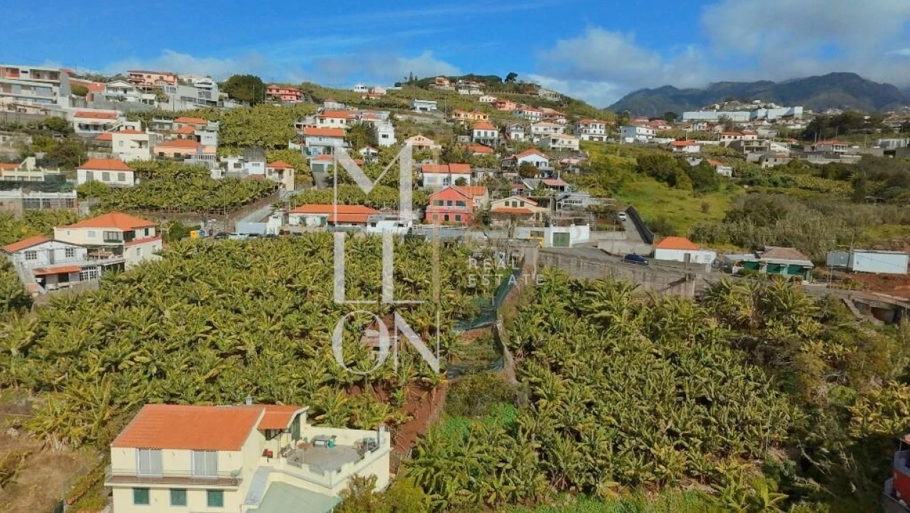 Terreno para Venda em São Martinho Foto 6