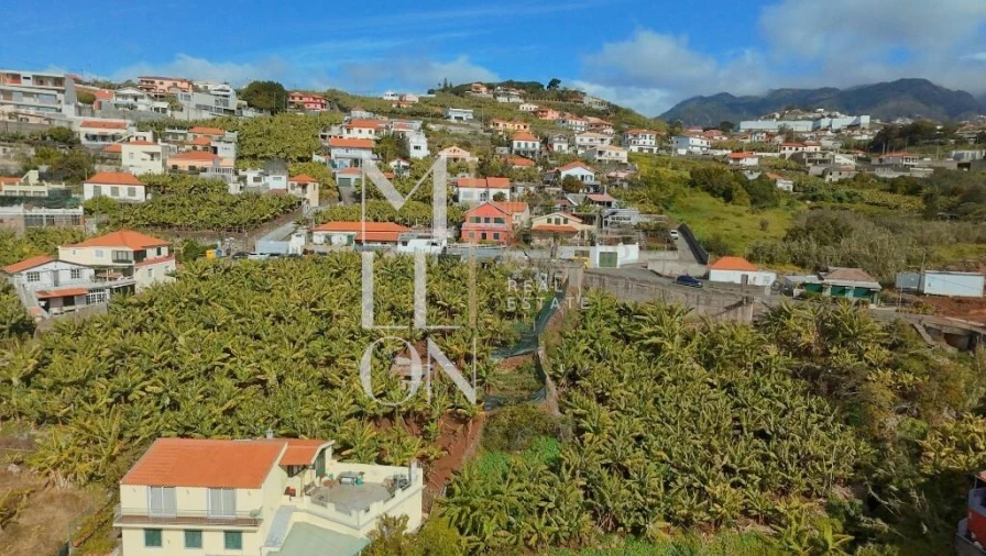 Terreno para Venda em São Martinho Foto 6