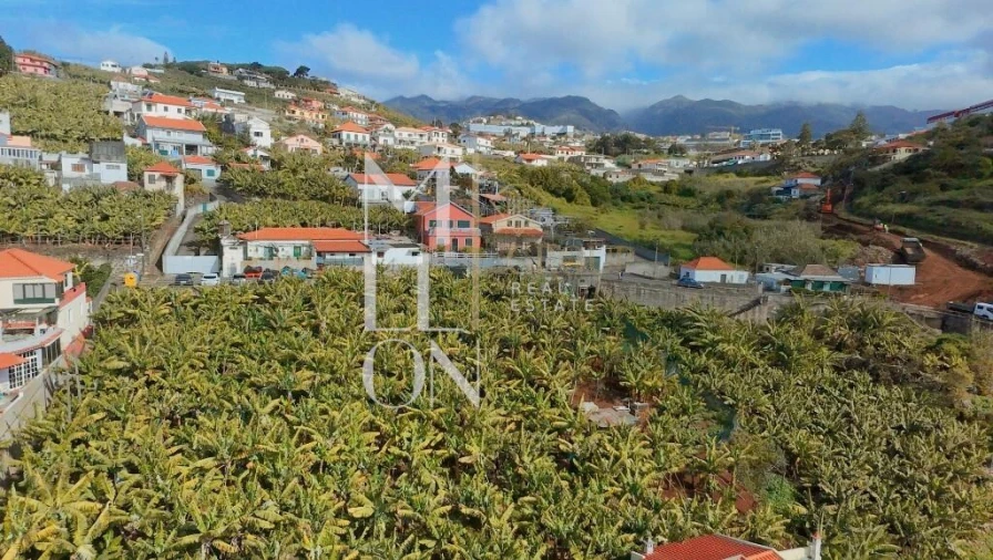 Terreno para Venda em São Martinho Foto 7