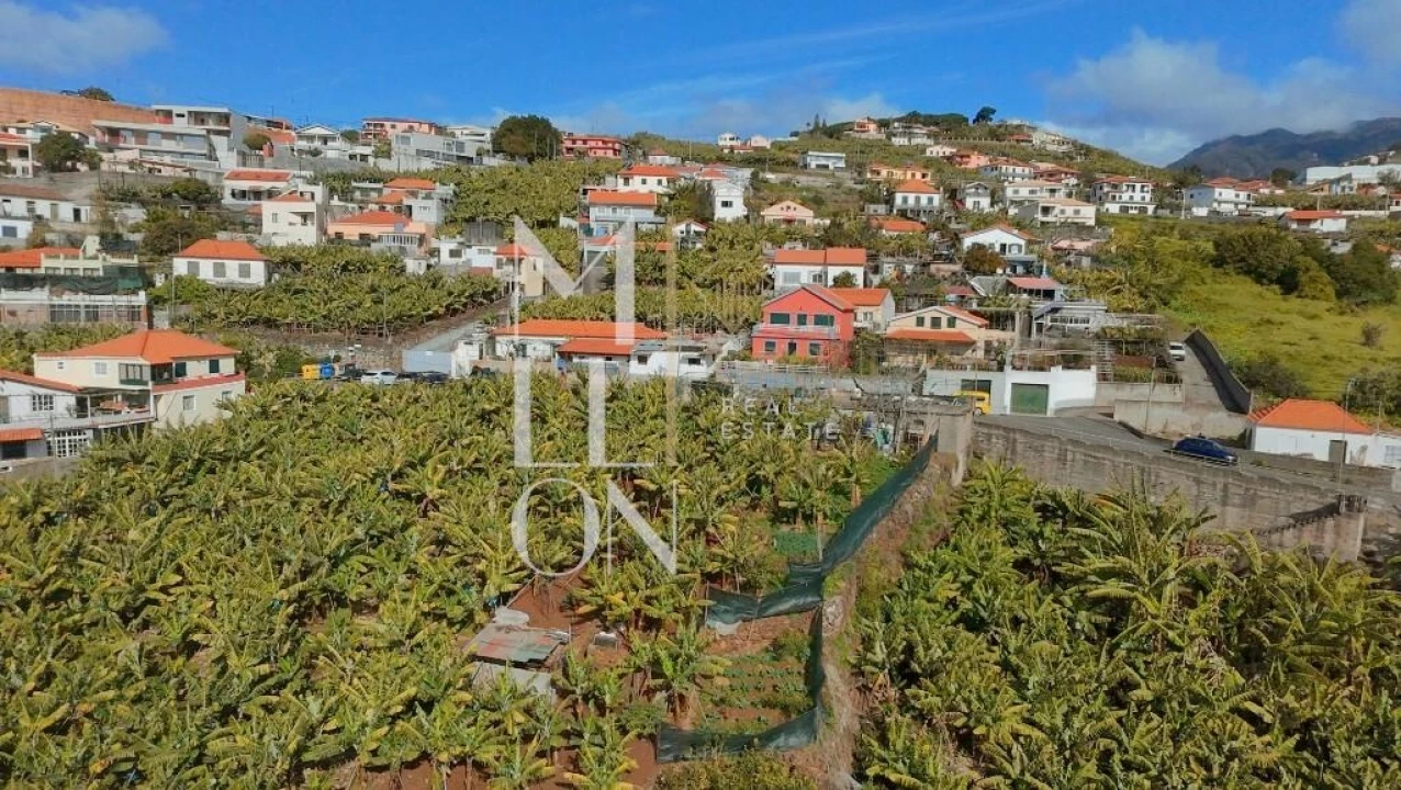 Terreno para Venda em São Martinho Foto 4