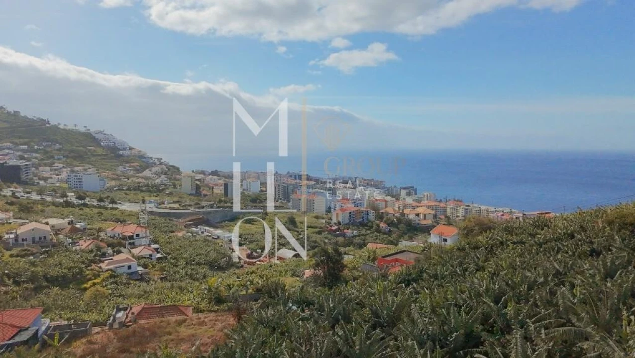 Terreno para Venda em São Martinho Foto 9