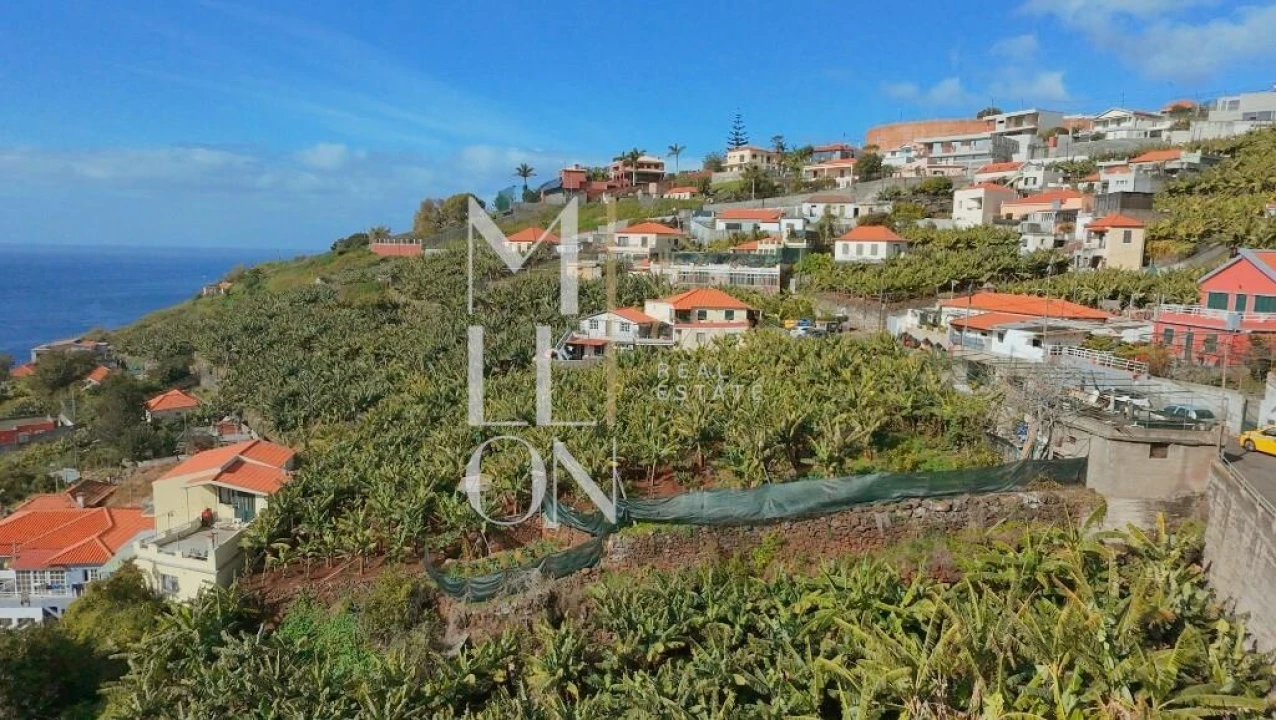 Terreno para Venda em São Martinho Foto 2