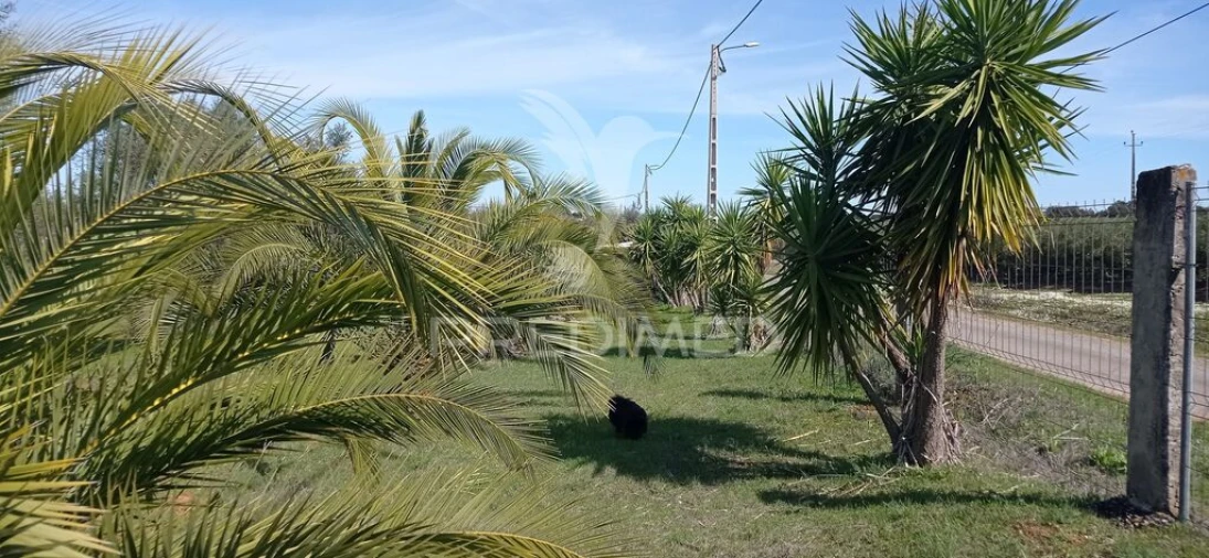 Quinta T4 para Venda em Casa Branca Foto 4