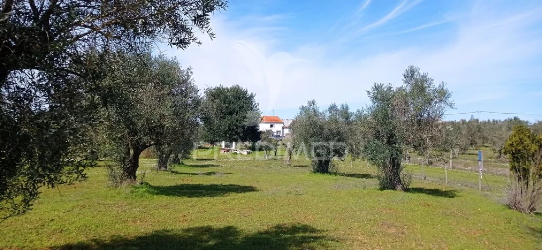 Quinta T4 para Venda em Casa Branca Foto 5