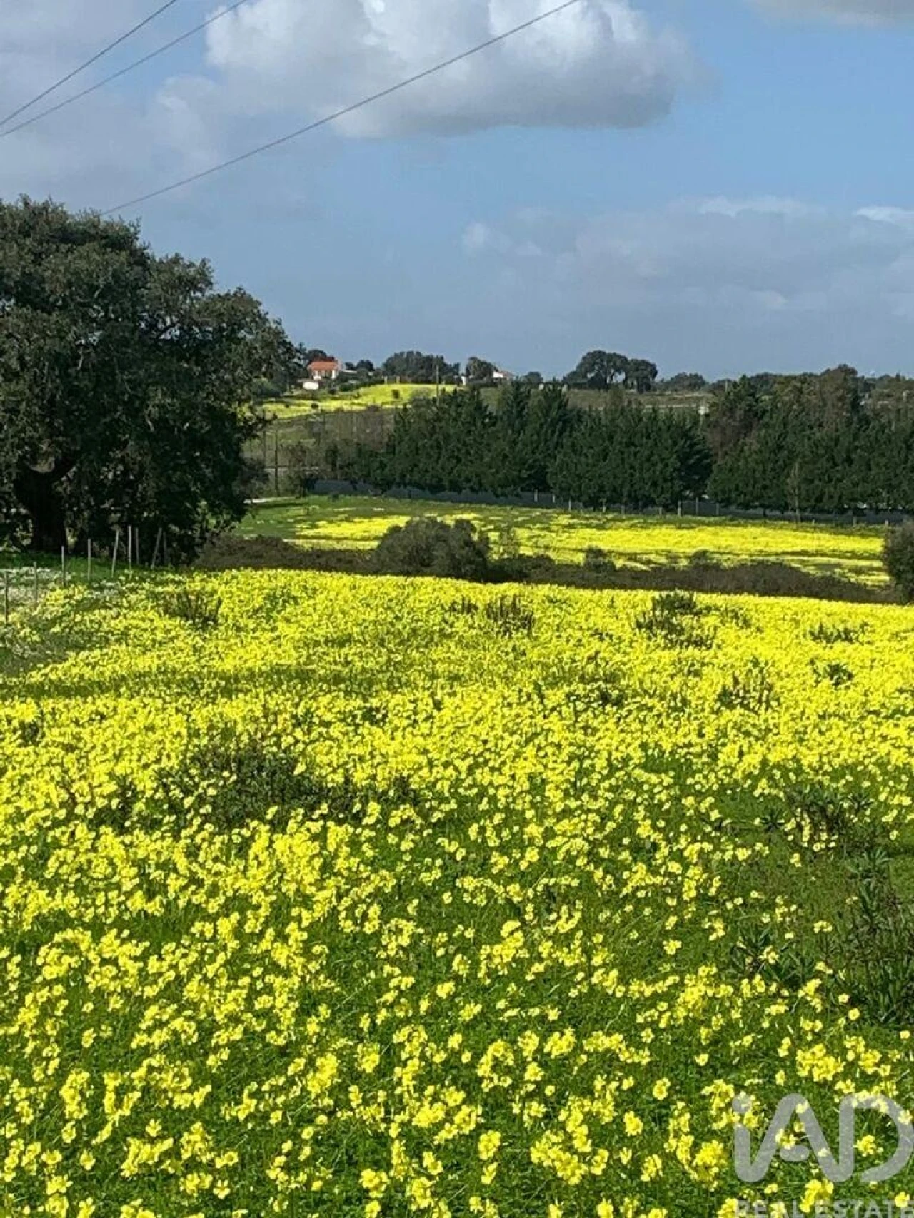 Terreno para Venda em Palmela Foto 1