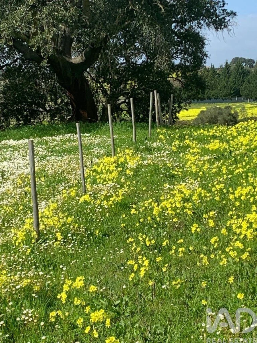 Terreno para Venda em Palmela Foto 2