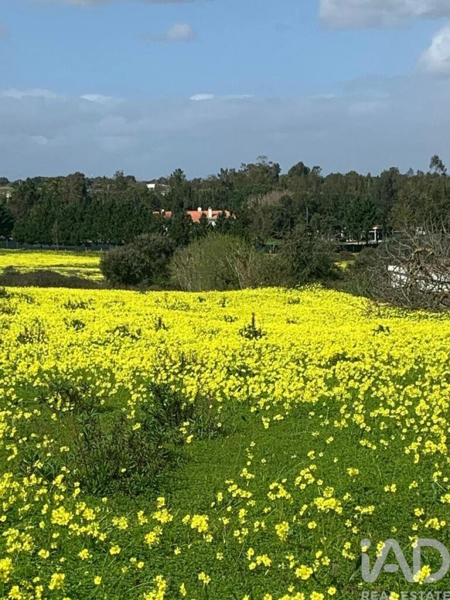 Terreno para Venda em Palmela Foto 7