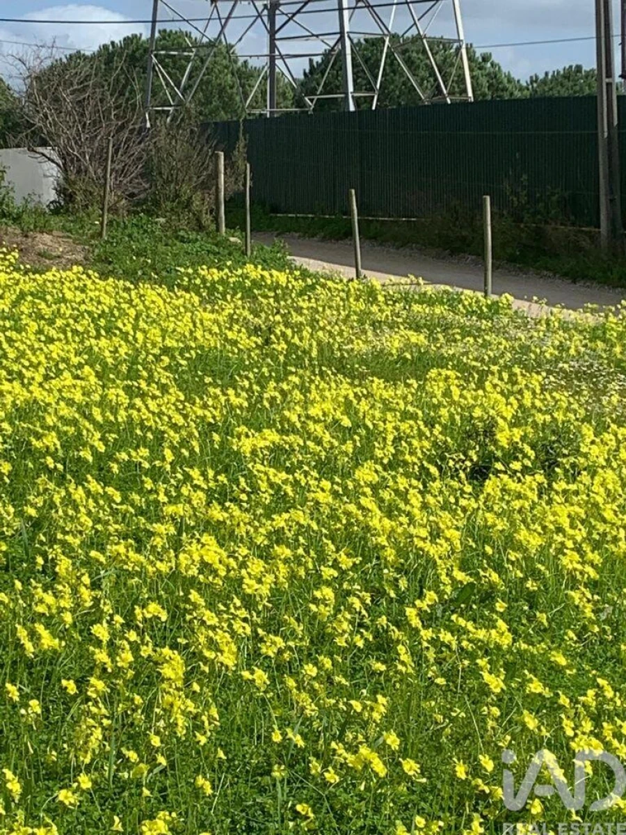 Terreno para Venda em Palmela Foto 8