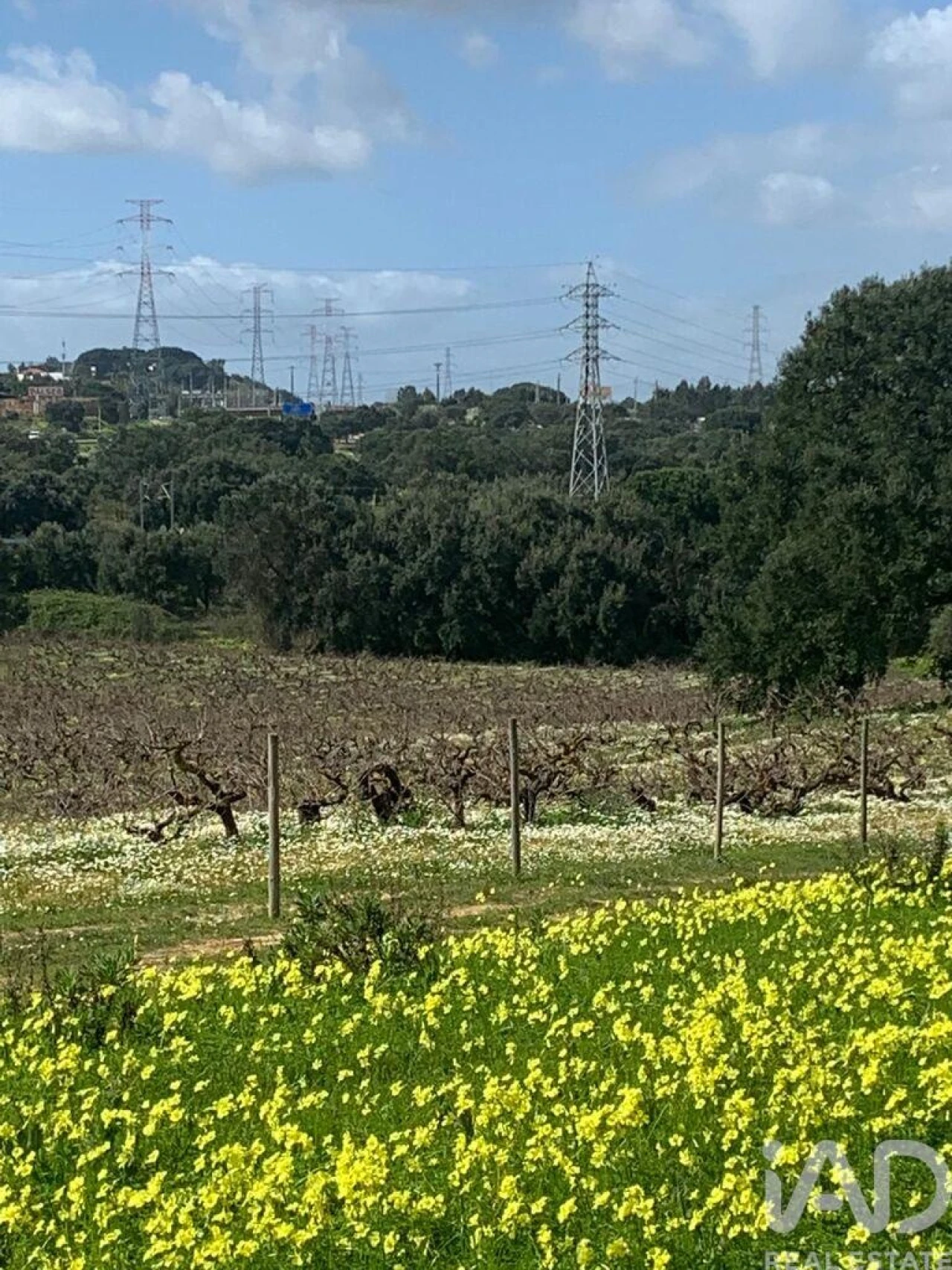 Terreno para Venda em Palmela Foto 9